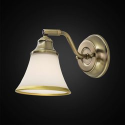 Спот Citilux CL511513