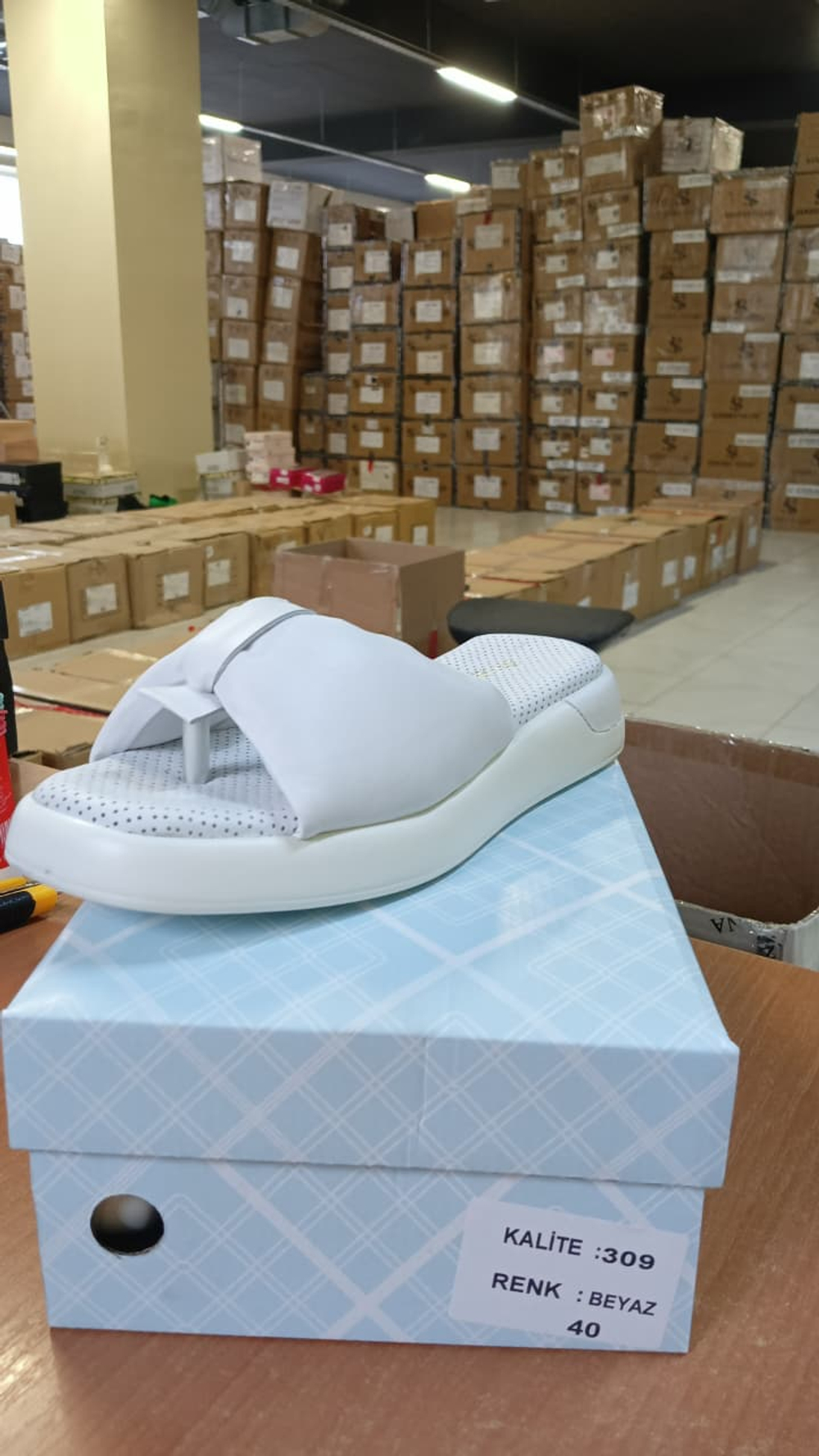 Шлепанцы женские DEMMUR 309\07