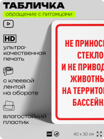 Табличка "Не приносите стекло и не приводите животных на территорию бассейна" на дверь и забор, для двора, дома, подъезда, 40х30 см, Silver Plane x Айдентика Технолоджи