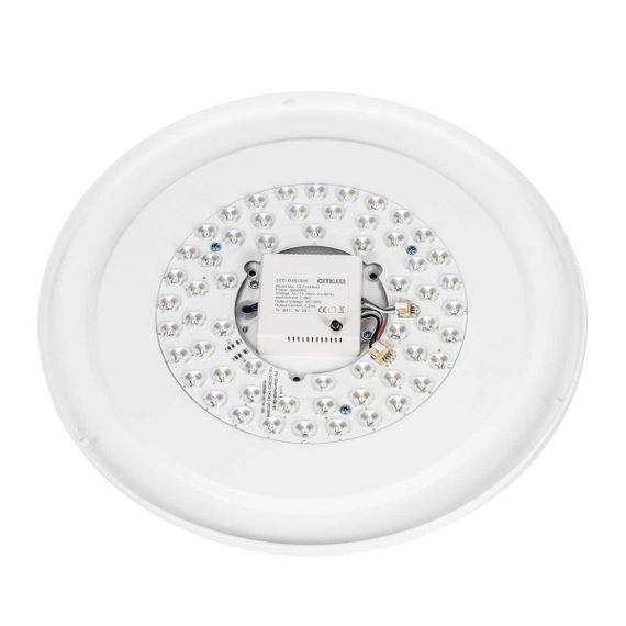 Потолочный светодиодный светильник Citilux Boss CL751350G