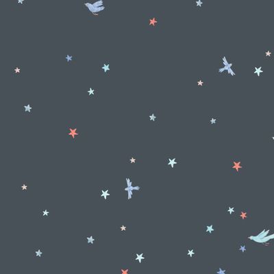 Компаньон (темный фон)