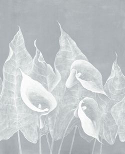 Бесшовная фреска ECO текстиль IMPRESSIO, 2,7 м (Ширина 4 м)