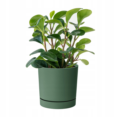 ГОРШОК Д/ЦВЕТОВ DPOP110 2411U ТЕМНО-ЗЕЛЕНЫЙ