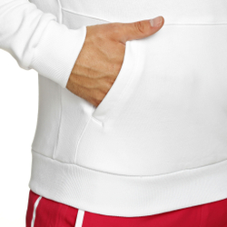 Мужская кофта теннисная Fila Bobby Hoody Men - White