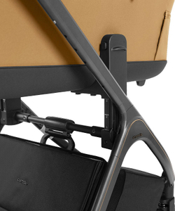 Коляска 2 в 1 Carrello Vector 2025 CRL-6551 Golden Beige