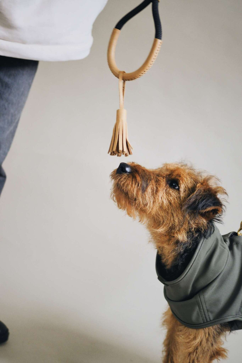 Попона "Пони-попони" хаки