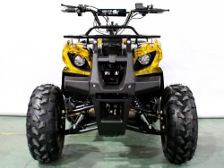 Электроквадроцикл Green Camel Атакама T220 (48V 1000W R8 Дифференциал)