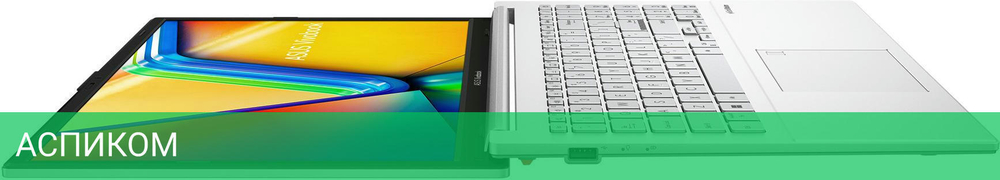 Ноутбук ASUS Vivobook Go 15 E1504GA-BQ856W Cool Silver (90NB0ZT1-M01FX0)