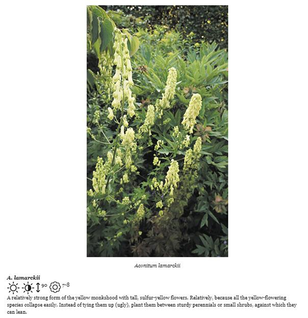 Planting the Natural Garden by Piet Oudolf and Henk Gerritsen