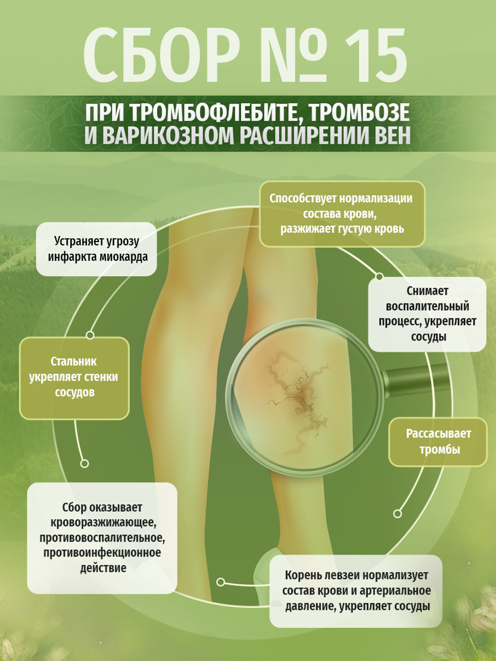 Сбор № 15 При тромбофлебите, тромбозе и варикозном расширении вен