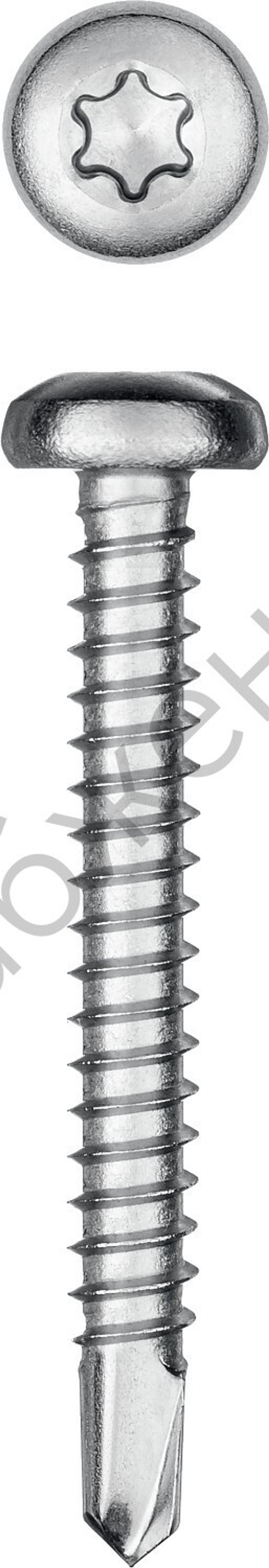 KRAFTOOL DS-P 38 х 4.8 мм, А2, сверло, полукр. головка, ТХ25, саморез нержавеющий, 200 шт (300931-48-038)