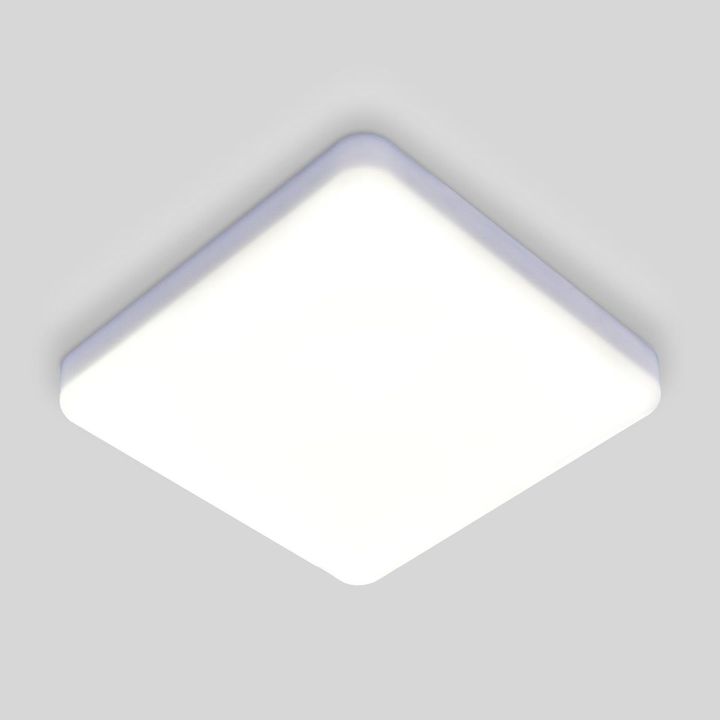 Потолочный светодиодный светильник Elektrostandard DLS043 10W 4200K a047941