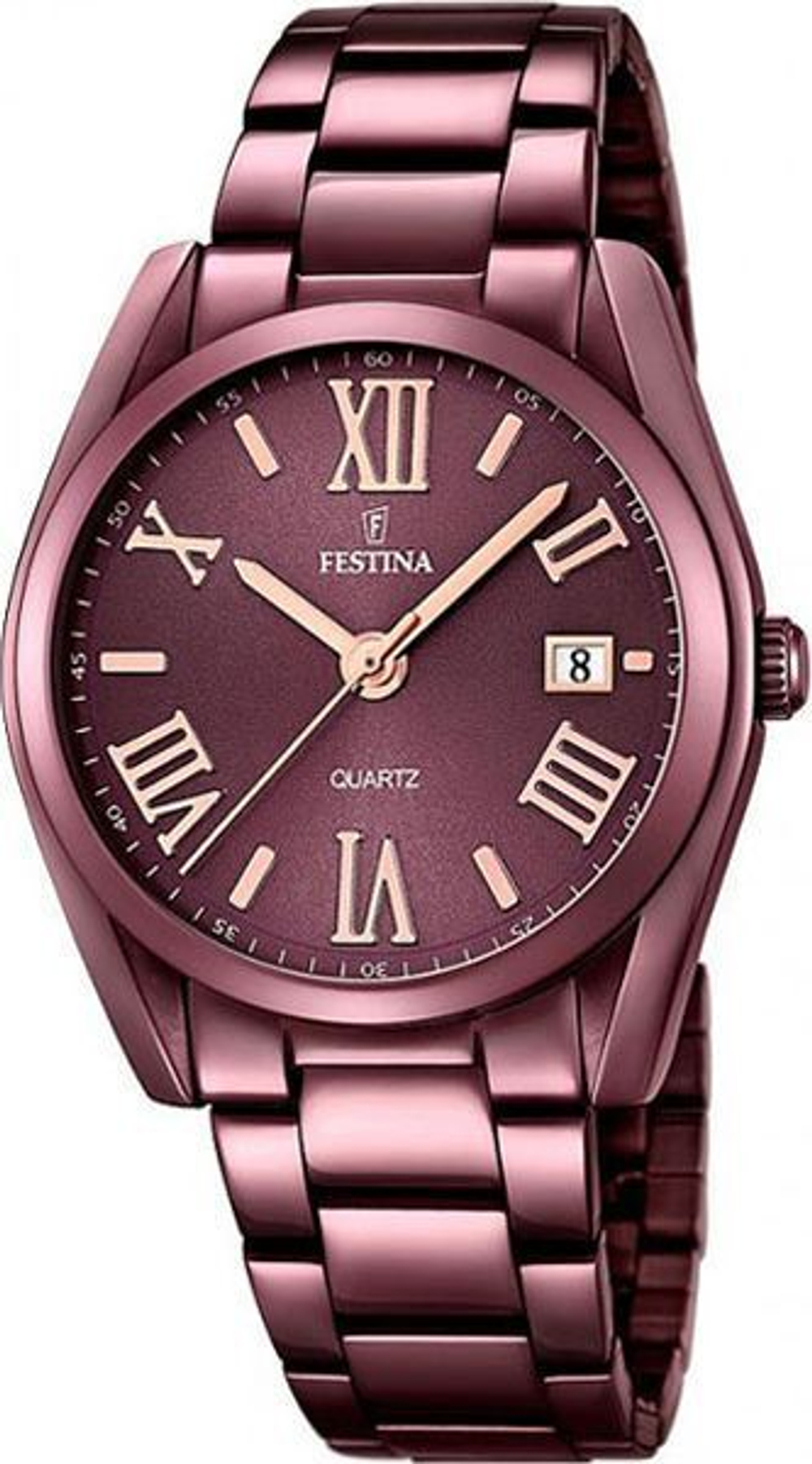 Часы Festina F16865/1