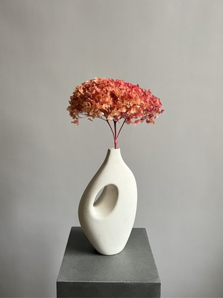 Гортензия стабилизированная ванильно-розовая