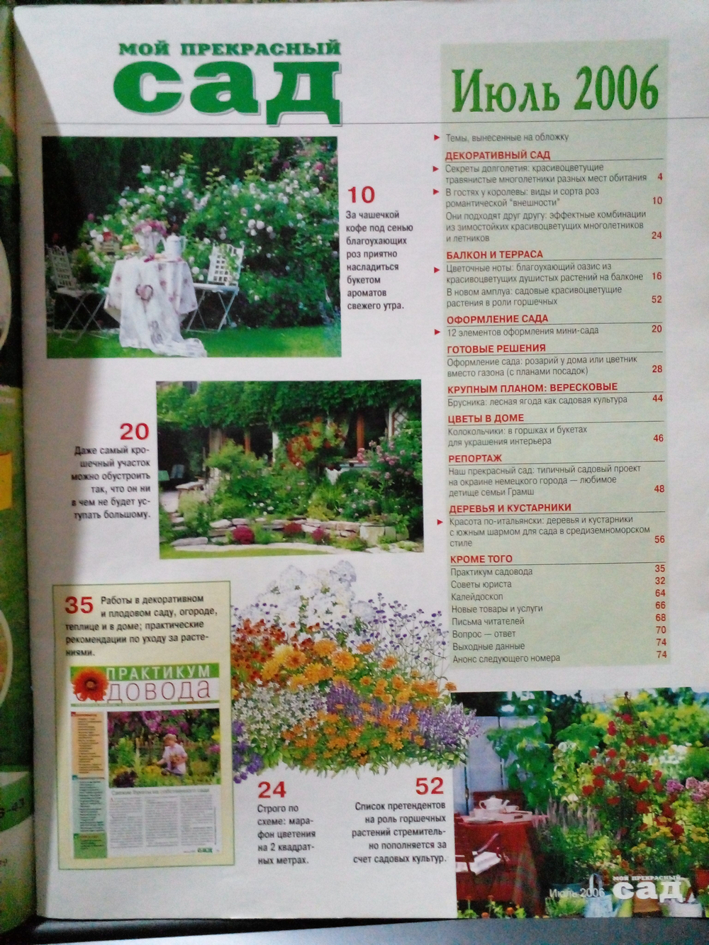 Мой прекрасный сад, июль 2006