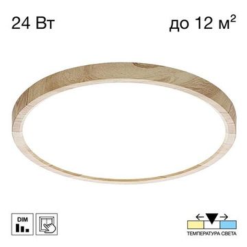 CL738242V Бейсик Клен Св-к Накл. LED 24W*Мульти