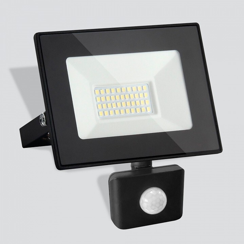 Уличный прожектор Elektrostandard 030 FL LED черный
