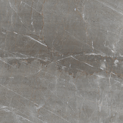 Patara Grigio Керамогранит I Серый 60x60 Полированный