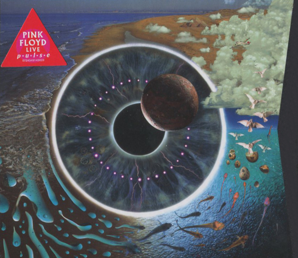 Pink Floyd / Pulse (2CD)