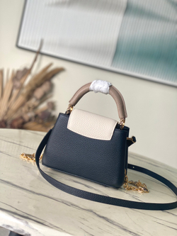 Louis Vuitton Capucines Mini