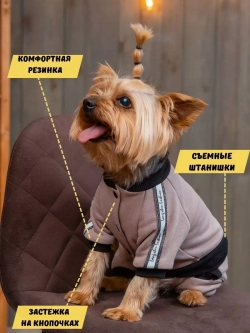 Спортивный комбинезон костюм для собак