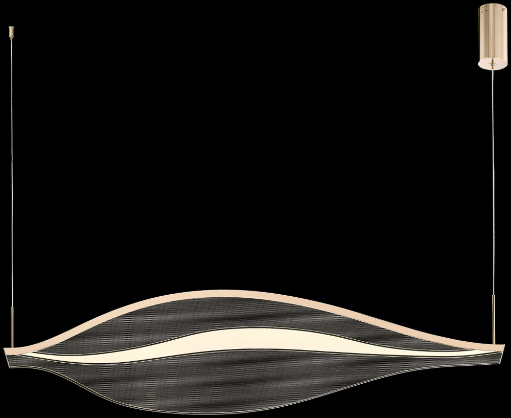 Светильник подвесной Wertmark Hetti WE450.01.343