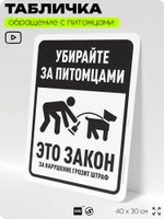Табличка "Убирайте за питомцами" на дверь и забор, для двора, дома, подъезда, 40х30 см, Silver Plane x Айдентика Технолоджи
