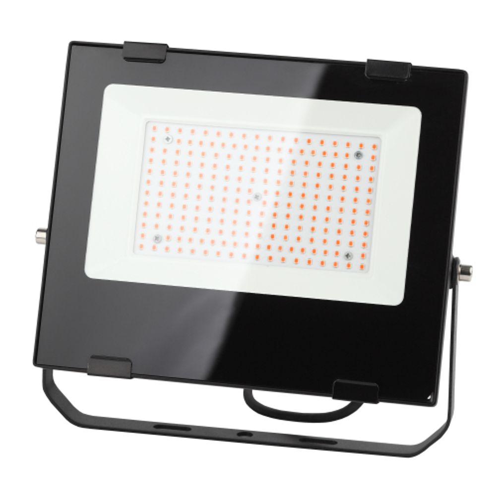 Фитопрожектор для растений светодиодный ЭРА FITO-100W-RB-LED для цветения и плодоношения красно-синего спектра 100 Вт | Фито прожекторы