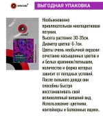 Петуния мультифлора Дот Стар F1 синяя