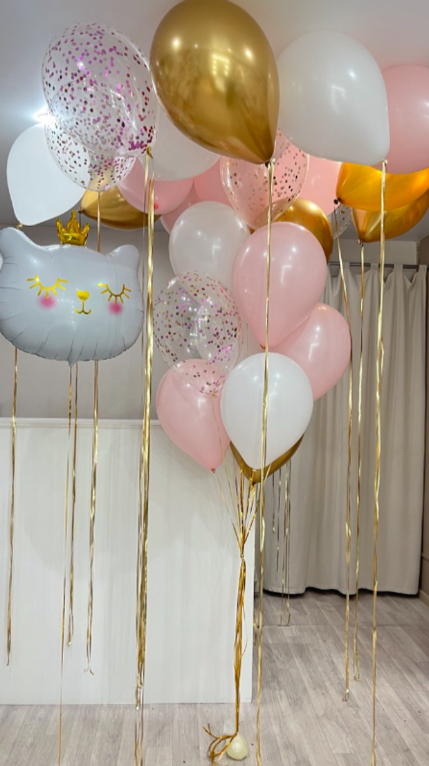 Шары для девушек №518