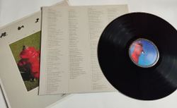 Винтажная виниловая пластинка LP Rush Signals (USA 1982)