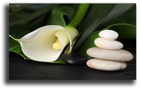 Постер "Каллы"