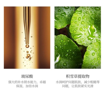 Комплекс для лица Venzen 24K трехступенчатый Пенка + Маска + Сыворотка Pure Gold Hydra 1,5 мл + 1,5 г + 25 г