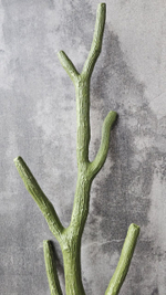 Ствол дерева 1+1