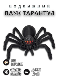 Паук тарантул