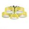 Потолочная люстра Evoluce Foresta SL483.092.05