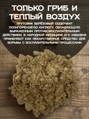 Трутовик березовый (дробленый)