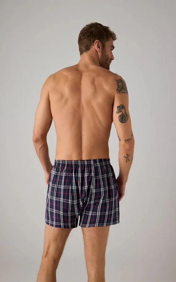 20379 Свободные боксеры