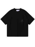 Мужская Футболка Sphinx Raglan