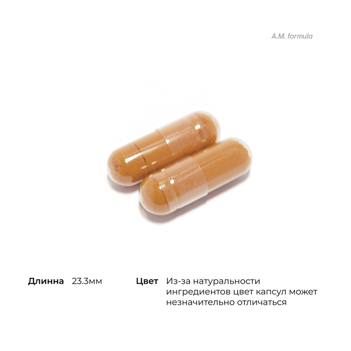 Комплекс витаминов и минералов, Multi-Vitamin Elite, Thorne Research, 180 капсул (2 упаковки по 90 капсул) 2