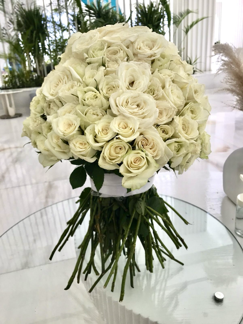 141 Белая Роза