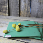 Смальта зеленого цвета в кирпичиках купить с доставкой по всей России.