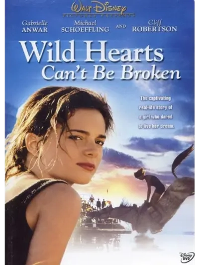 Храбрых сердцем не сломить (1991) (КИНО USB)