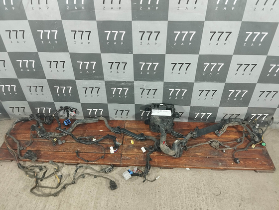 Проводка моторного отсека 2.0 4WD Genesis G80 16-20 Б/У Оригинал 91251B1530