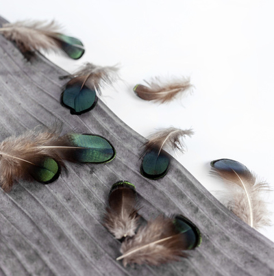 Перья серебряного фазана 3-8 см. 10 шт.