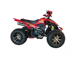 Квадроцикл Yacota TYPHOON 250 LD