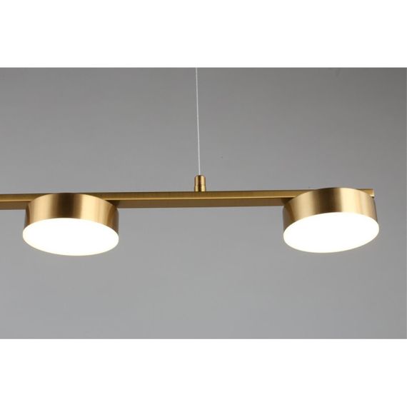 Подвесная светодиодная люстра Aployt Usia APL.047.13.35