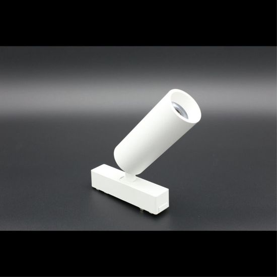 Светильник трековый APL.0113.10.09