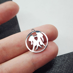 Знаки зодиаков, подвески сталь, р-р 20×17.5мм, штучно