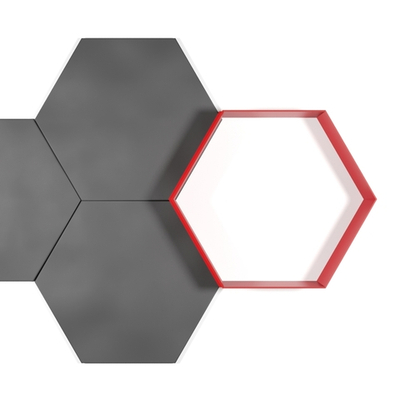 Вырубка  "Октагон"